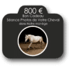 Bon Cadeau Séance Photos avec Votre Cheval - 800 €