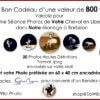 Bon Cadeau Séance Photos avec Votre Cheval - 800 € – Image 2