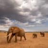 Longue Marche en Famille
