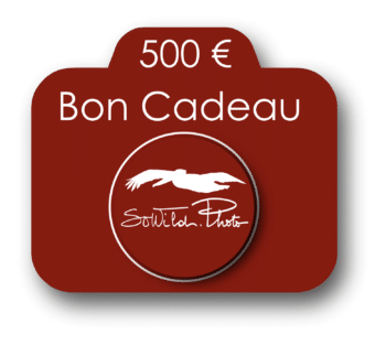 Bon Cadeau Photo 500 €